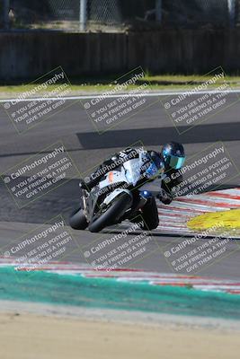 media/Mar-17-2024-Fastrack Riders (Sun) [[c7d6f8c14c]]/Level 2/Turn 6/